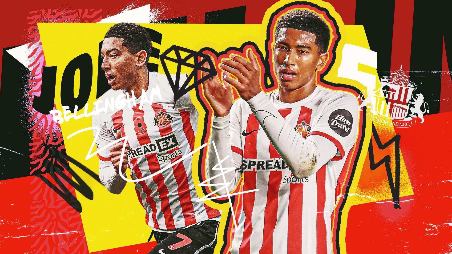 的巴西年轻 的巴西年轻