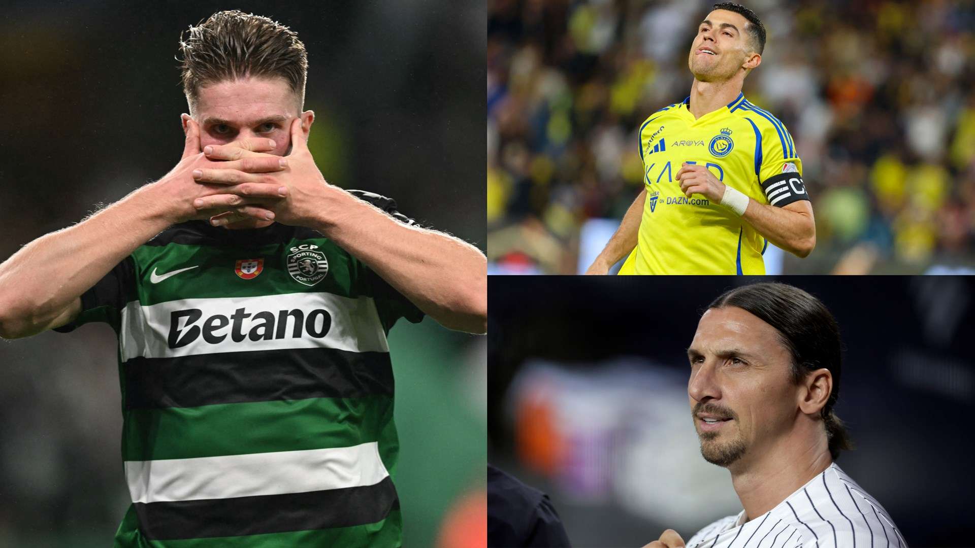 充分发挥了 充分发挥了